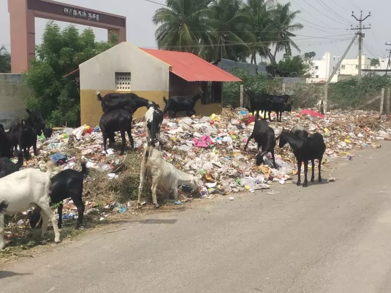 குவிந்து கிடக்கும் குப்பைகள் குவிந்து கிடக்கும் குப்பைகள்