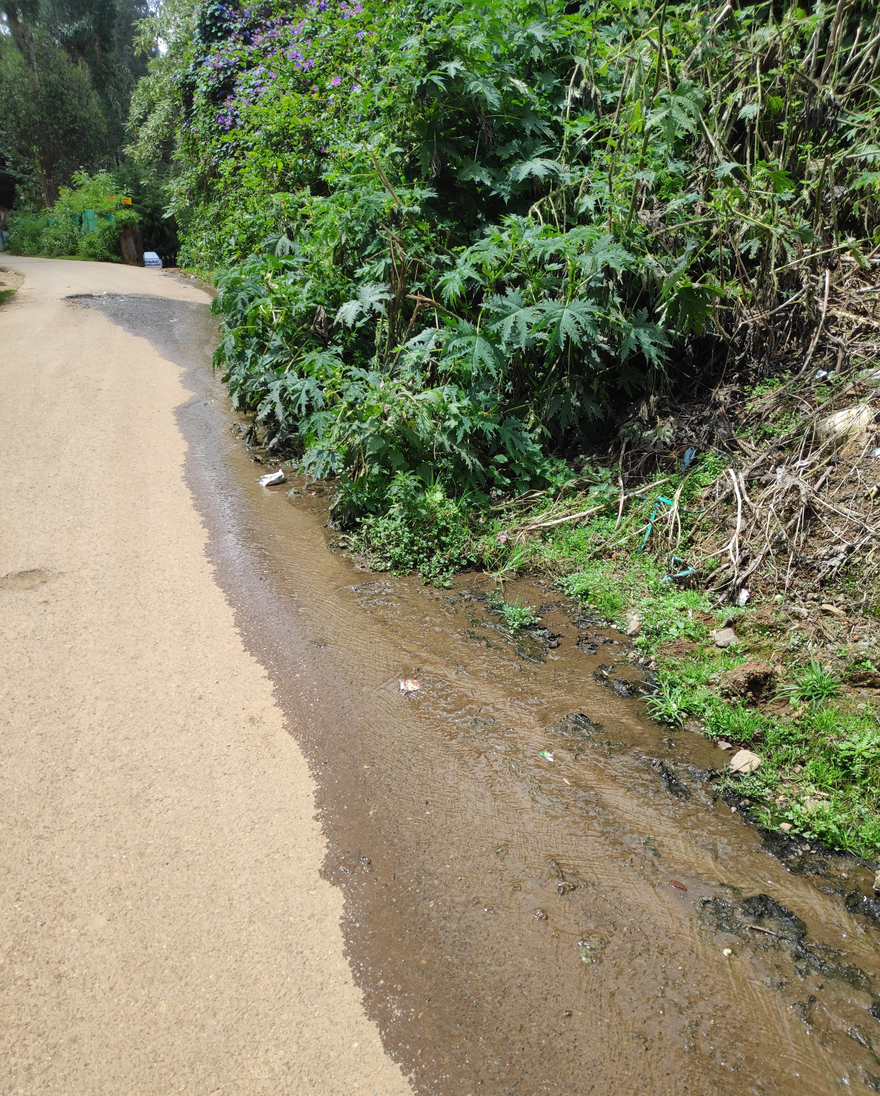 சாக்கடையில் அடைப்பு