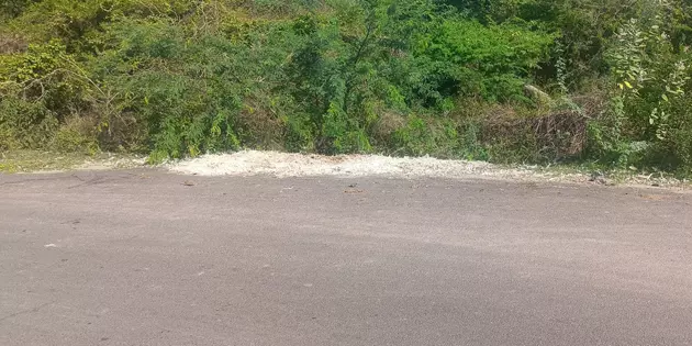 சாலையோரம் கோழிக்கழிவுகள் வீ்ச்சு சாலையோரம் கோழிக்கழிவுகள் வீ்ச்சு