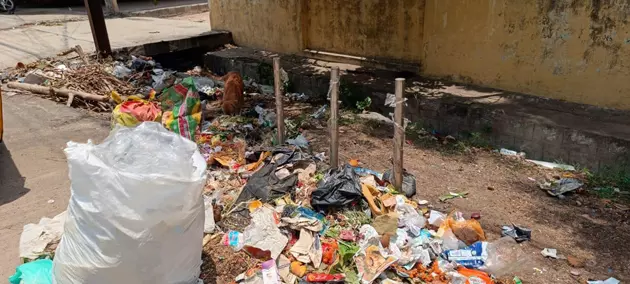 குப்பைகளால் சுகாதார சீர்கேடு