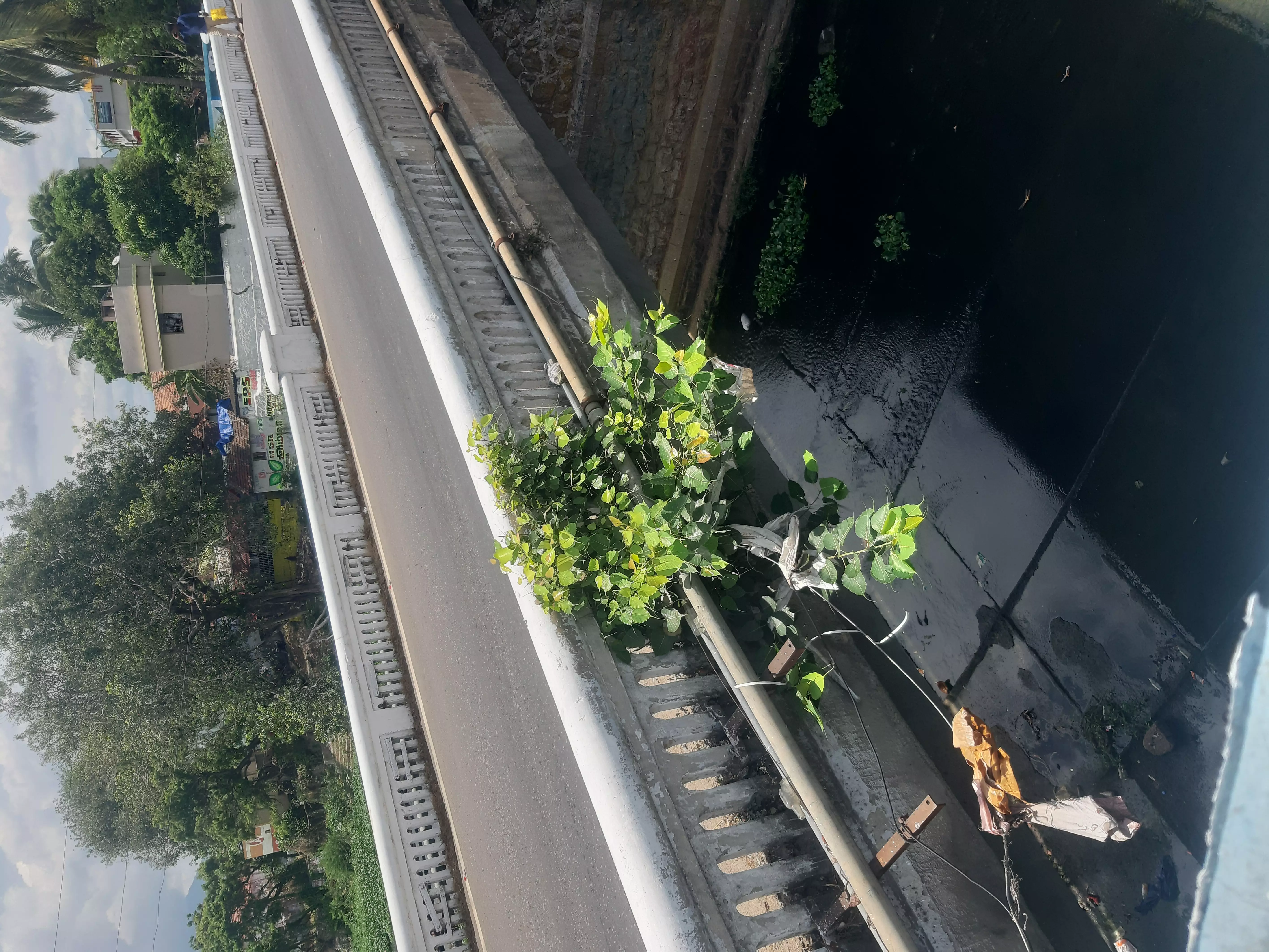 பாலத்தில் விரிசல் விழும் அபாயம்