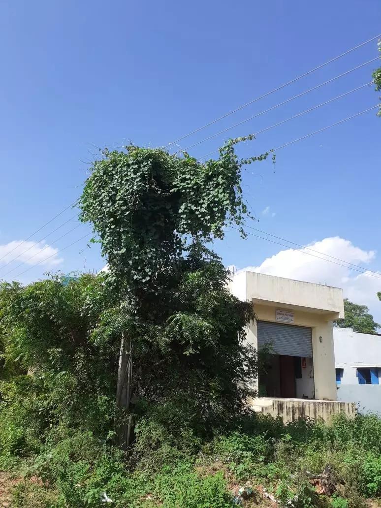 மின்கம்பம் எங்கே?