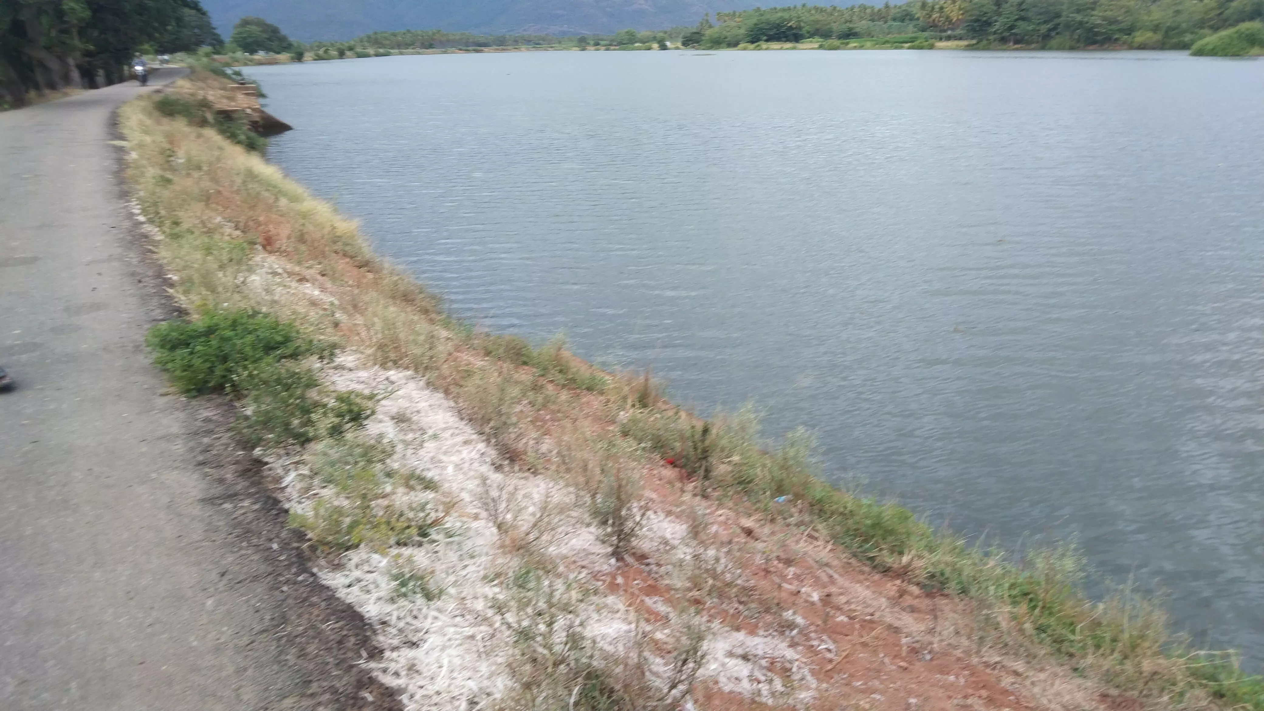 சுகாதாரக்கேடு சுகாதாரக்கேடு