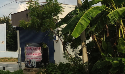 பகலில் எரியும் மின் விளக்குகள்