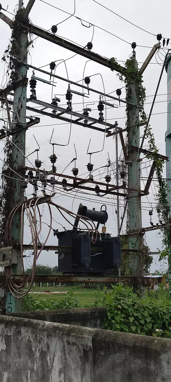 மின்சார டிரான்ஸ்பார்மரில் படர்ந்த கொடி