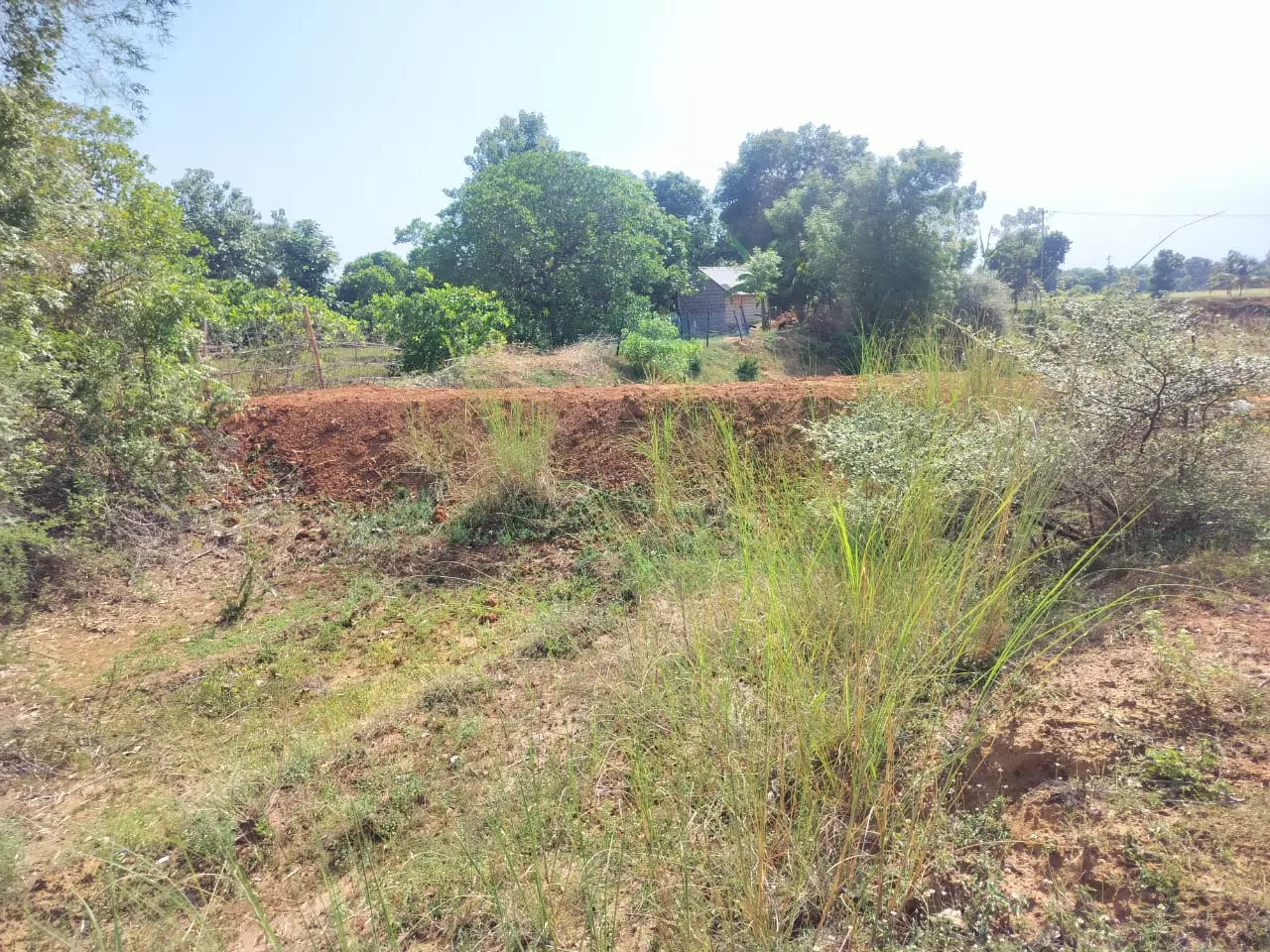 நீர்நிலை ஆக்கிரமிப்பு