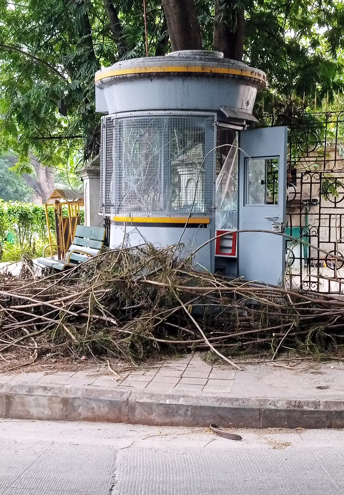 நடைபாதையில் கிடக்கும் மரக்கிளைகள்