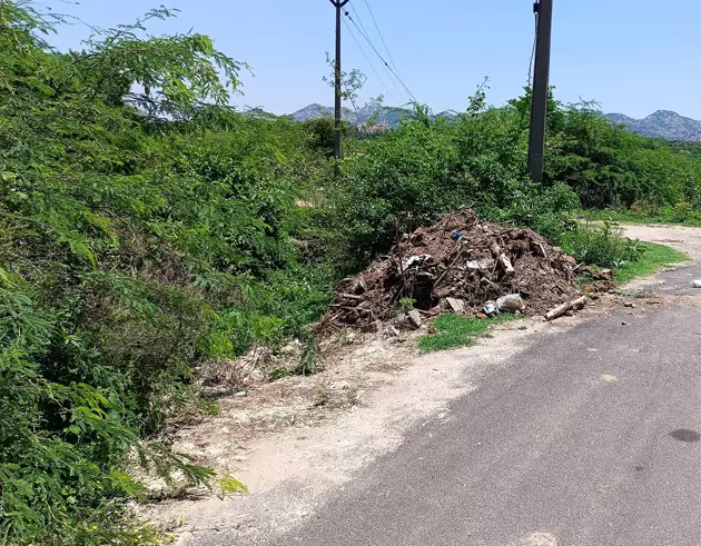 ஓடைகளில் கொட்டப்படும் குப்பைகள் ஓடைகளில் கொட்டப்படும் குப்பைகள்