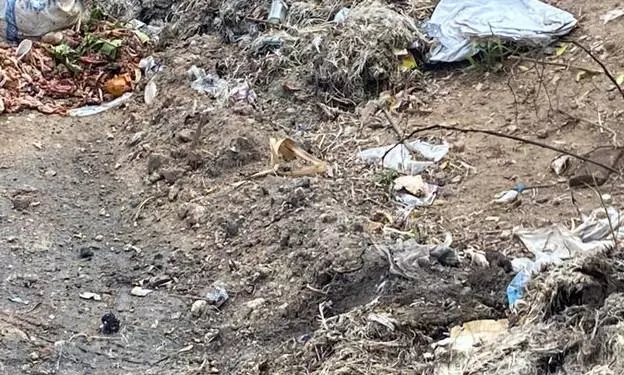 சுகாதார சீர்கேடு