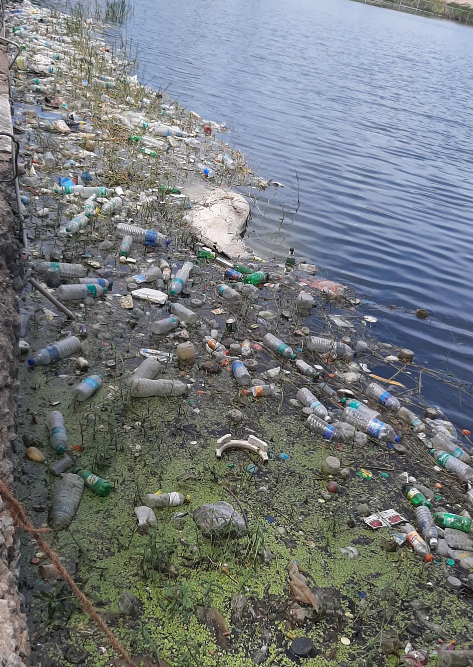 குளத்தில் குவிந்த பிளாஸ்டிக் கழிவுகள்