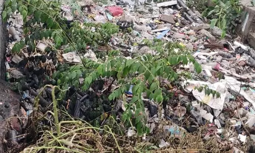 கால்வாயில் குவிந்த கழிவுகள்