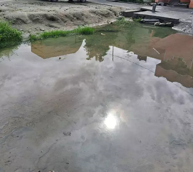 தேங்கி நிற்கும் மழைநீரில் கொசு உற்பத்தி தேங்கி நிற்கும் மழைநீரில் கொசு உற்பத்தி