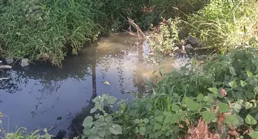 நோய் பரவும் அபாயம்