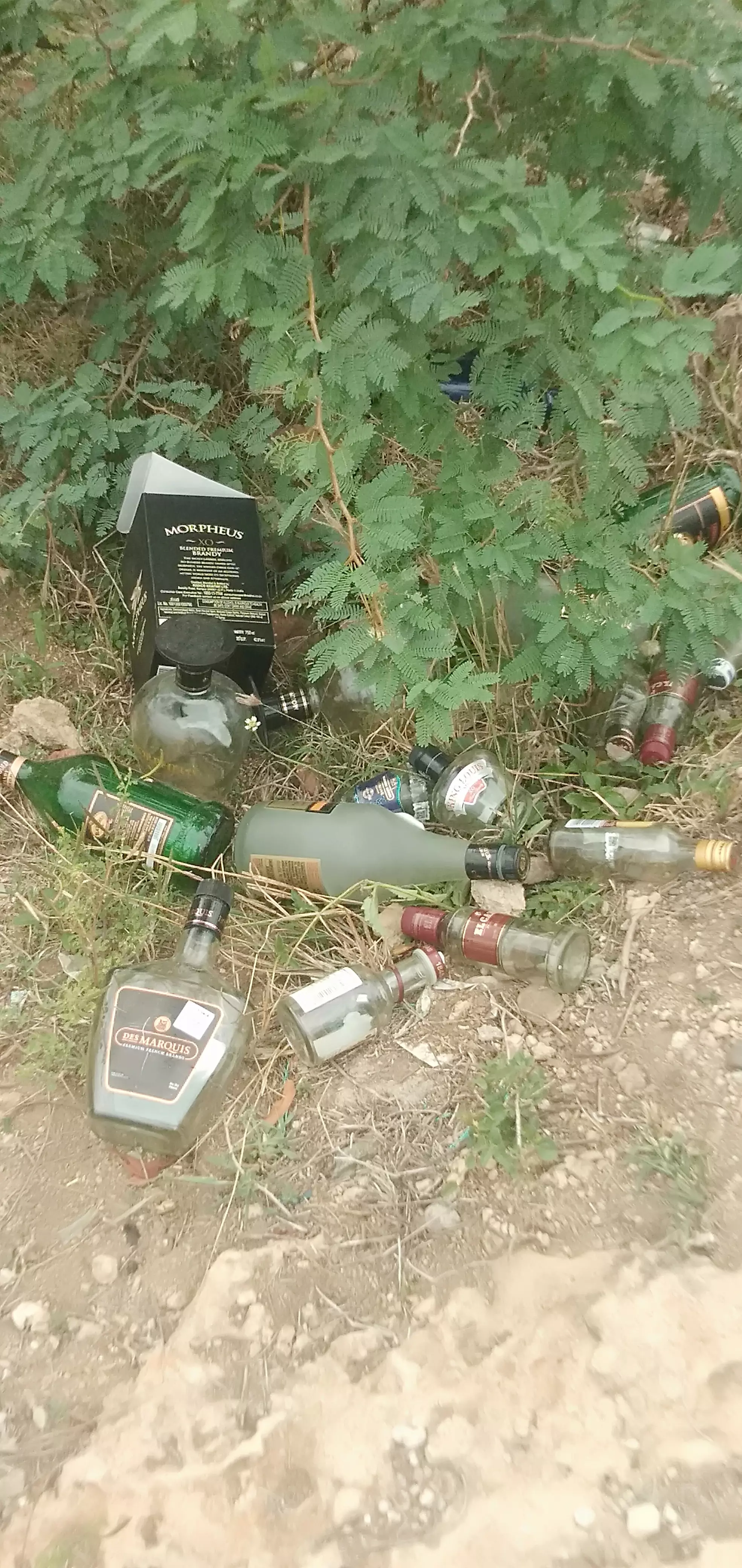 விவசாய நிலங்களில் மது பாட்டில்கள் விவசாய நிலங்களில் மது பாட்டில்கள்