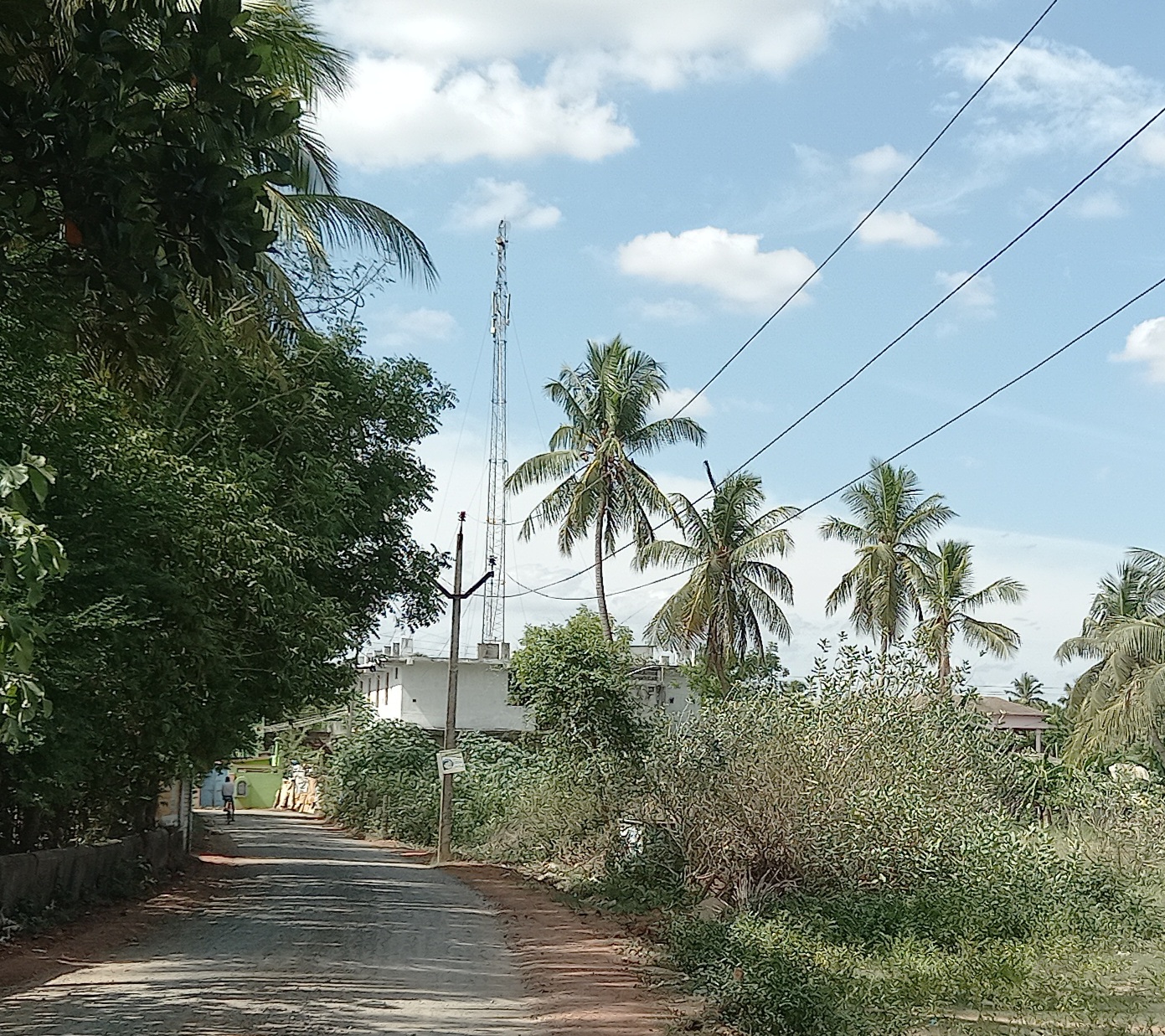 தாழ்வாக செல்லும் மின்கம்பிகள்