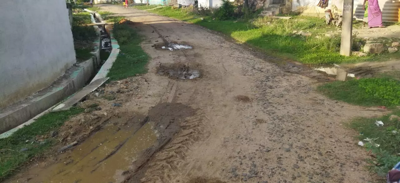 சாலை அமைக்க கோரிக்கை