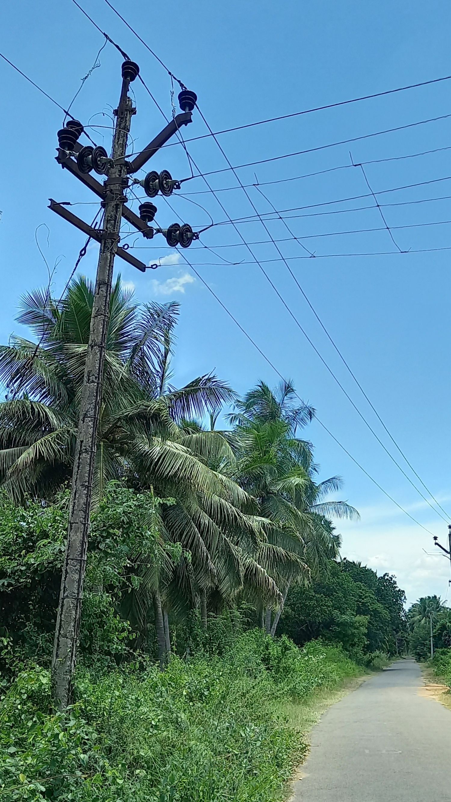 பலி வாங்க காத்திருக்கும் மின்கம்பம்