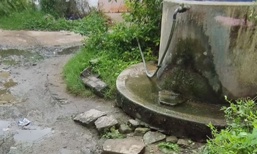 செடி, கொடிகளால் சூழ்ந்த குடிநீர் தொட்டி செடி, கொடிகளால் சூழ்ந்த குடிநீர் தொட்டி