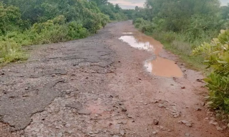 நம்புங்க... இதுவும் சாலைதான் நம்புங்க... இதுவும் சாலைதான்