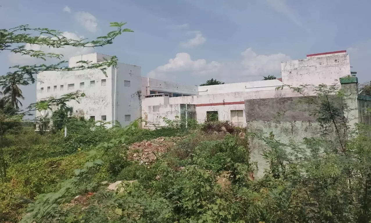 செடி, கொடிகளை அகற்றுவது அவசியம்