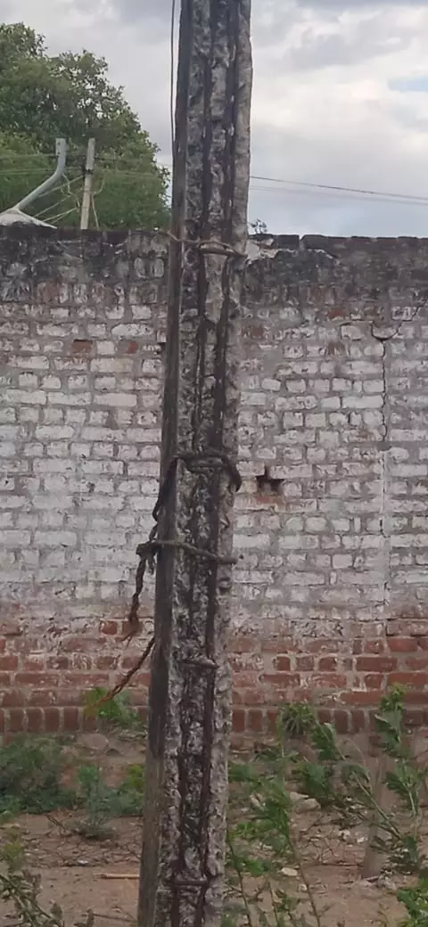 எலும்புக்கூடான மின்கம்பம் எலும்புக்கூடான மின்கம்பம்