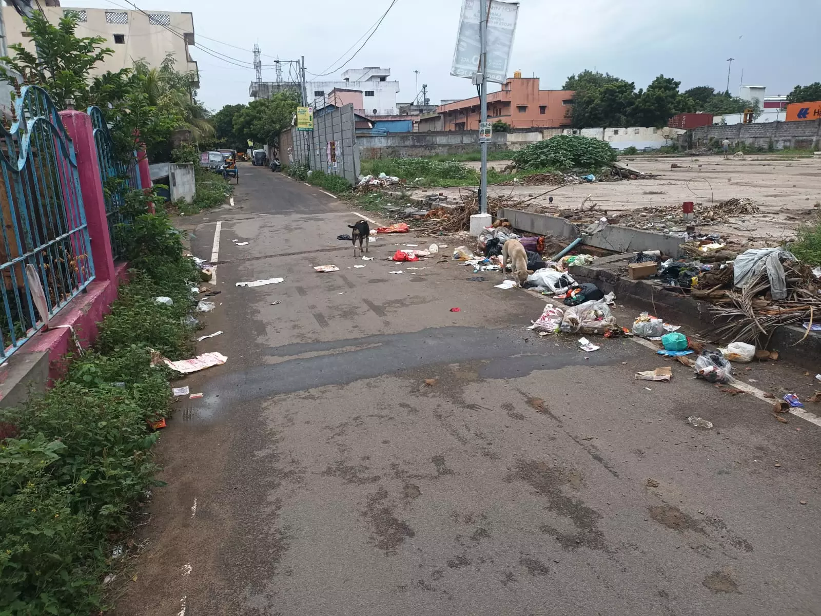 குப்பைகள் அகற்றப்படுமா?