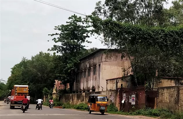 மின்ஒயர்களில் படர்ந்த கொடிகள் மின்ஒயர்களில் படர்ந்த கொடிகள்