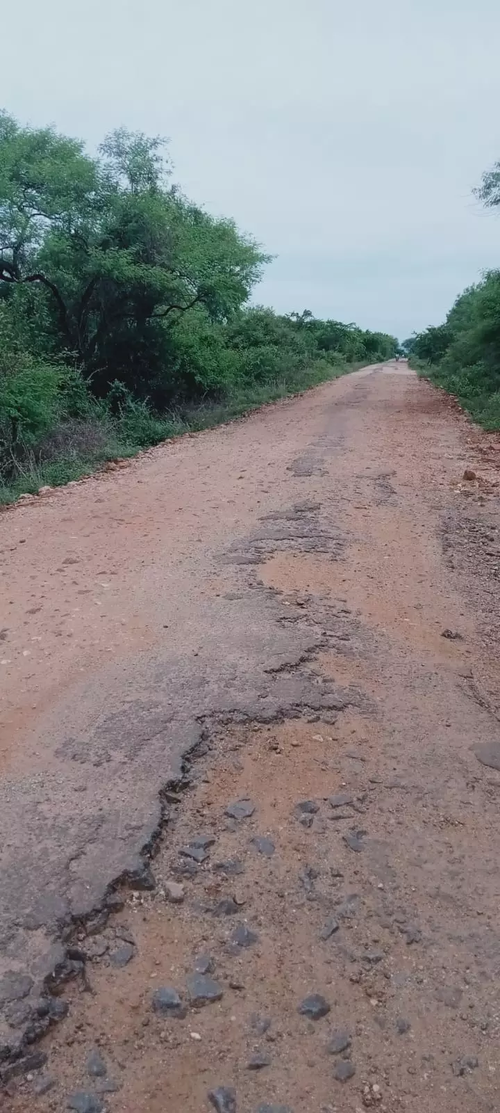 குண்டும், குழியுமான சாலை