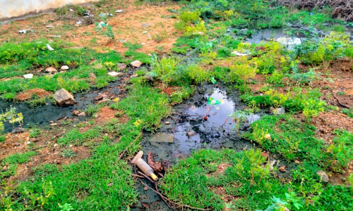 சுகாதாரக்கேடு சுகாதாரக்கேடு