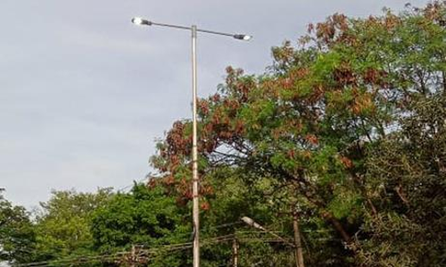 பகலிலும் ஒளிரும் மின்விளக்குகள்