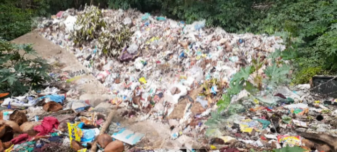 தொற்றுநோய் பரவும் அபாயம்