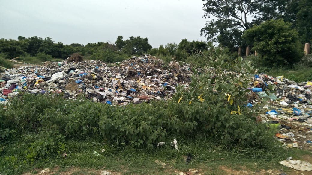 குப்பைகள் அகற்றப்படுமா?