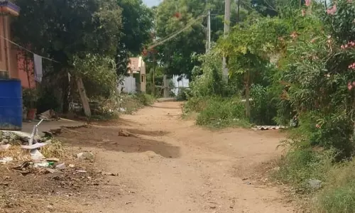 தார்ச்சாலை அமைக்க வேண்டும் தார்ச்சாலை அமைக்க வேண்டும்