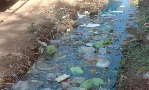 அரசு மருத்துவமனை முன்பு சுகாதாரக்கேடு அரசு மருத்துவமனை முன்பு சுகாதாரக்கேடு