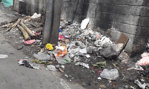 குப்பைகளை அகற்றுவார்களா?