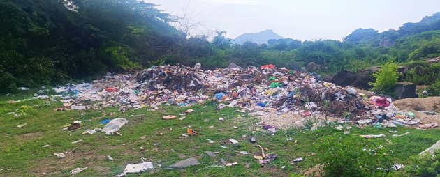 ஏரியில் கொட்டப்படும் குப்பைகள் ஏரியில் கொட்டப்படும் குப்பைகள்