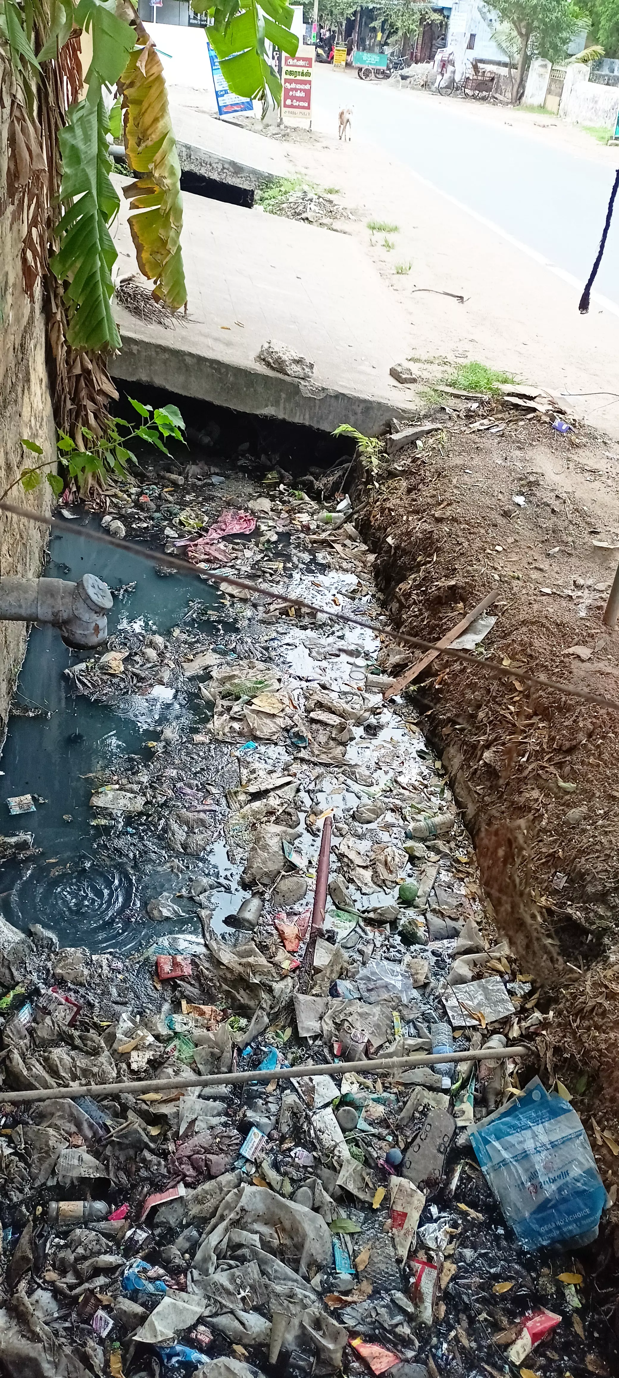 பறக்கையில் தண்ணீர் செல்ல ஓடையை சுத்தம் செய்யாது இருக்கும் அவல நிலை