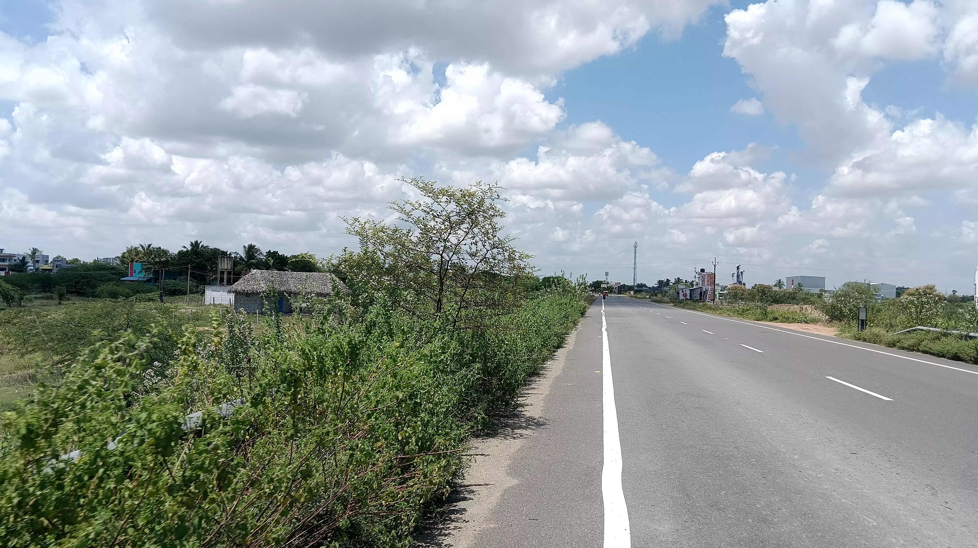 செடி, கொடிகள் அகற்றப்படுமா? செடி, கொடிகள் அகற்றப்படுமா?