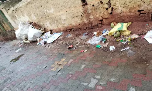 சாலையோரம் கொட்டப்படும் குப்பைகள் சாலையோரம் கொட்டப்படும் குப்பைகள்