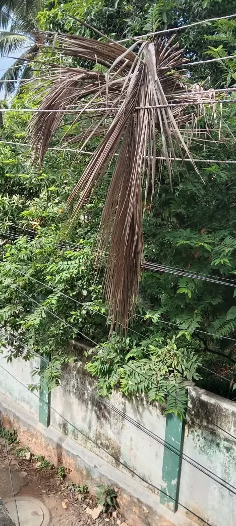 மின்தடை ஏற்படும் அபாயம் மின்தடை ஏற்படும் அபாயம்