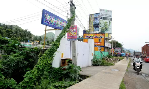 மின் கம்பத்தில் படரும் கொடிகள் மின் கம்பத்தில் படரும் கொடிகள்