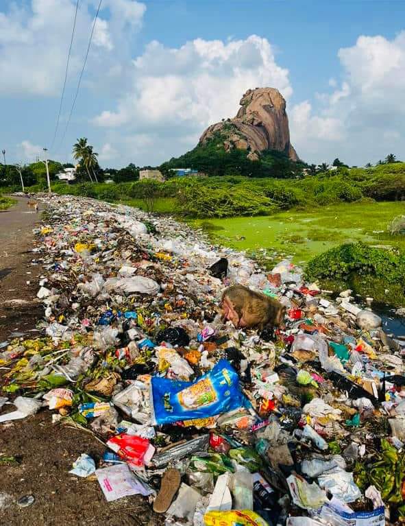 குவிந்து கிடக்கும் குப்பை