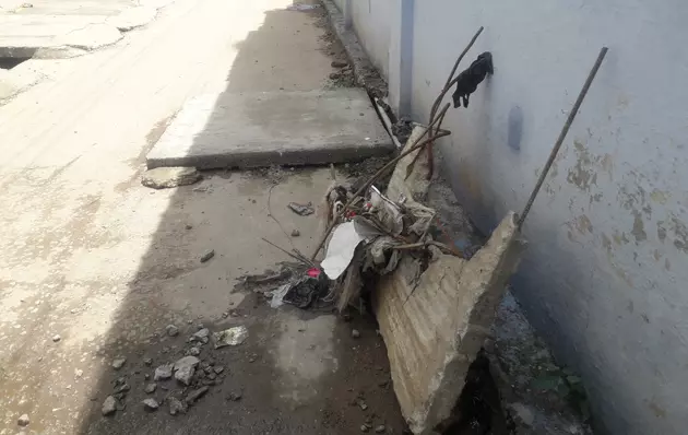 தினத்தந்திக்கு பாராட்டு