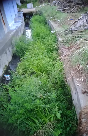 சுத்தம் செய்யப்படுமா?