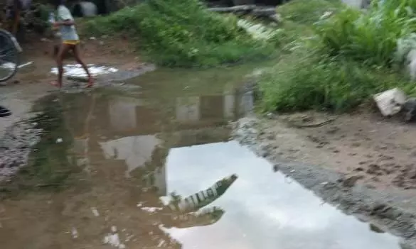 குளம் போல் தேங்கி நிற்கும் மழைநீர் குளம் போல் தேங்கி நிற்கும் மழைநீர்