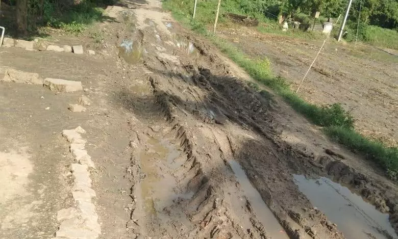 சேறும், சகதியுமான சாலை சேறும், சகதியுமான சாலை