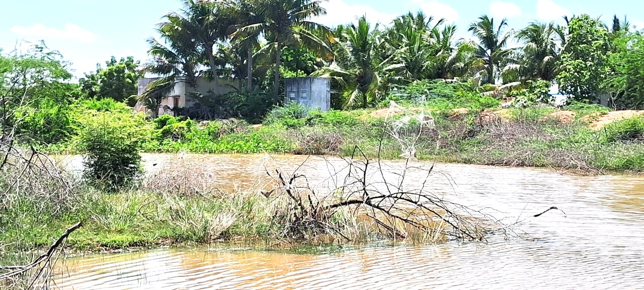 ஆக்கிரமிப்புகள் அகற்றப்படுமா? ஆக்கிரமிப்புகள் அகற்றப்படுமா?