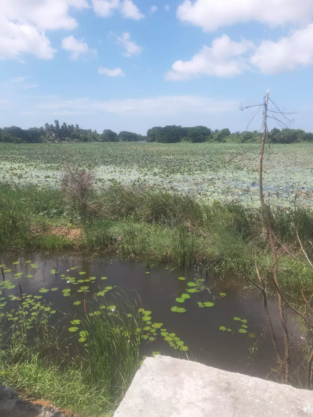 நடவடிக்கை எடுக்க வேண்டும்