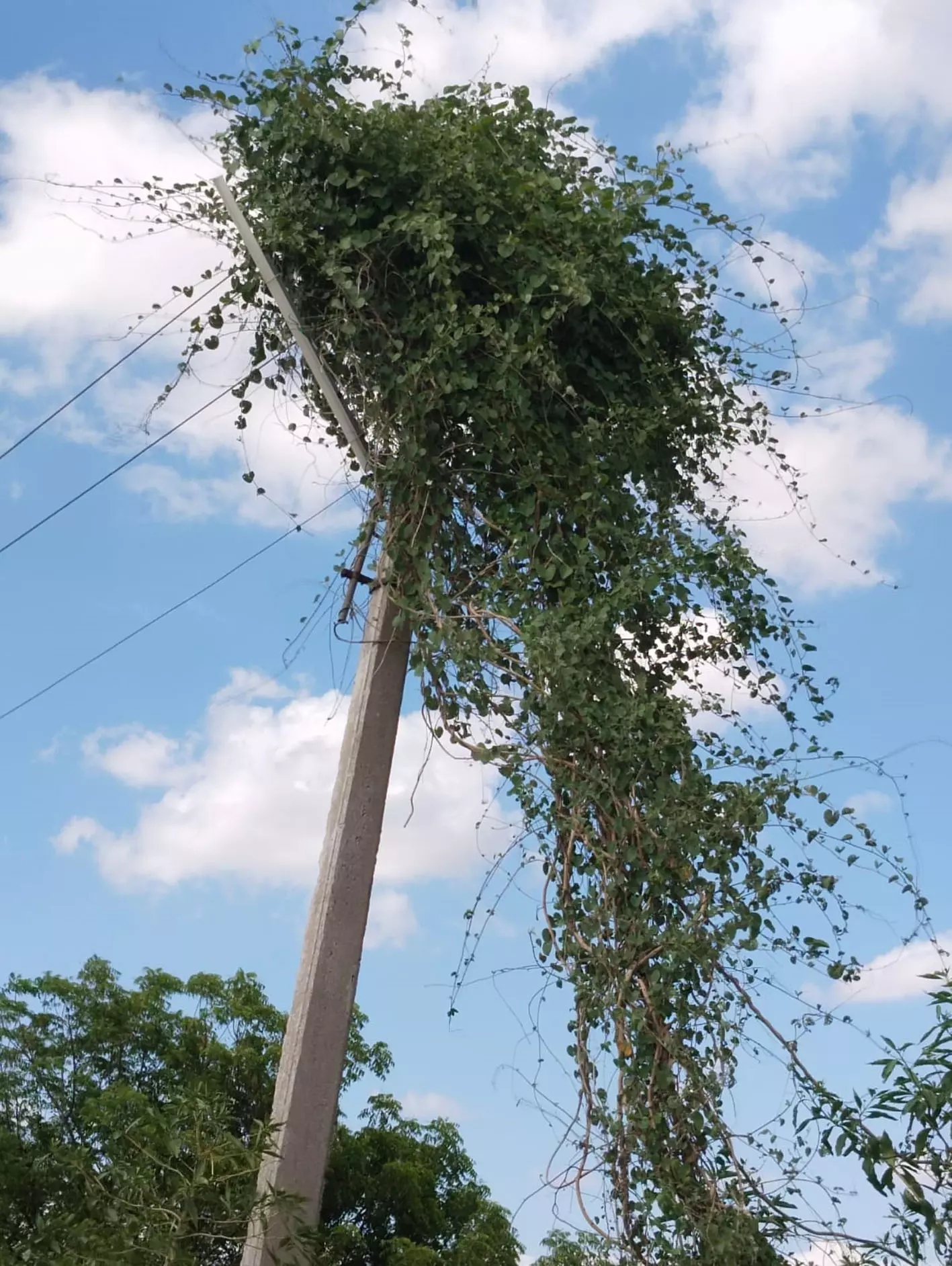 மின்விபத்து அபாயம்