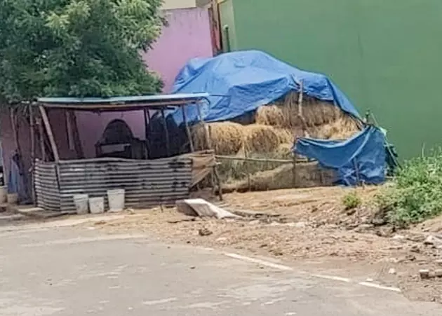 கால்வாய் மீது வைக்கோல் போர் கால்வாய் மீது வைக்கோல் போர்